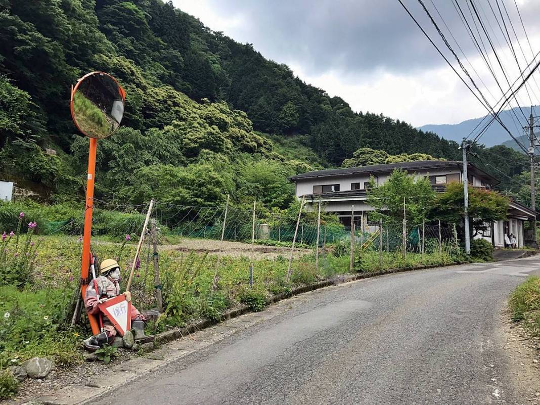 Bu köye gelenler gözlerine inanamıyor: Tüyler ürperten manzara! Hepsi yetişkin insan boyutlarında 25